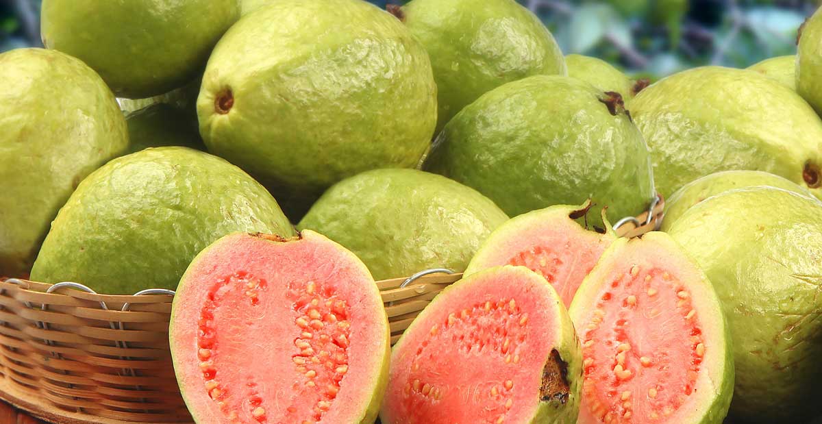 Zeteon Foods